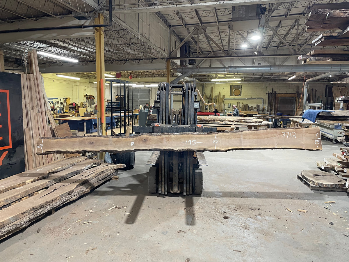 BLACK WALNUT (3712) 195” L x 8&quot;-15” W x 2.5”