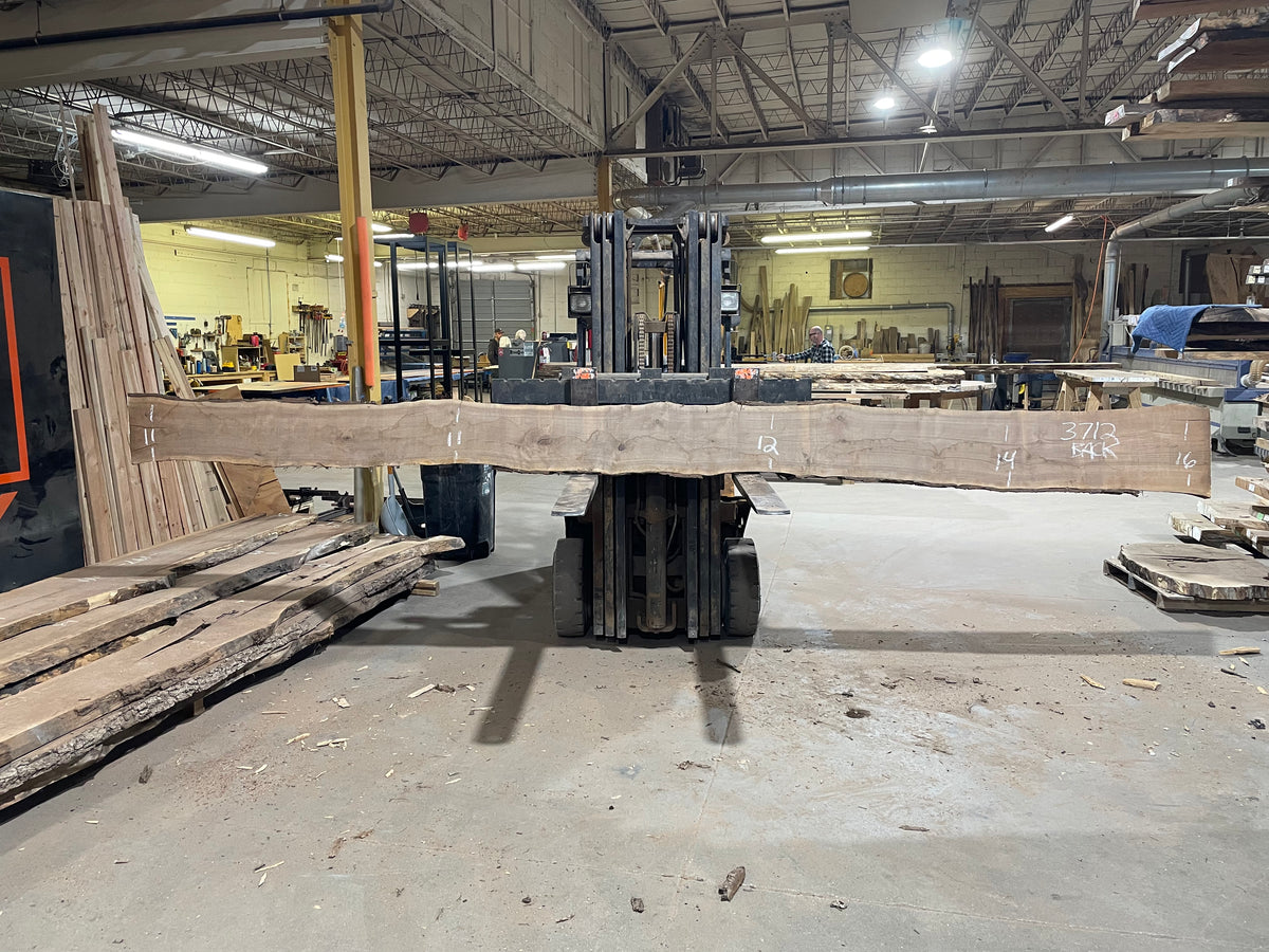 BLACK WALNUT (3712) 195” L x 8&quot;-15” W x 2.5”