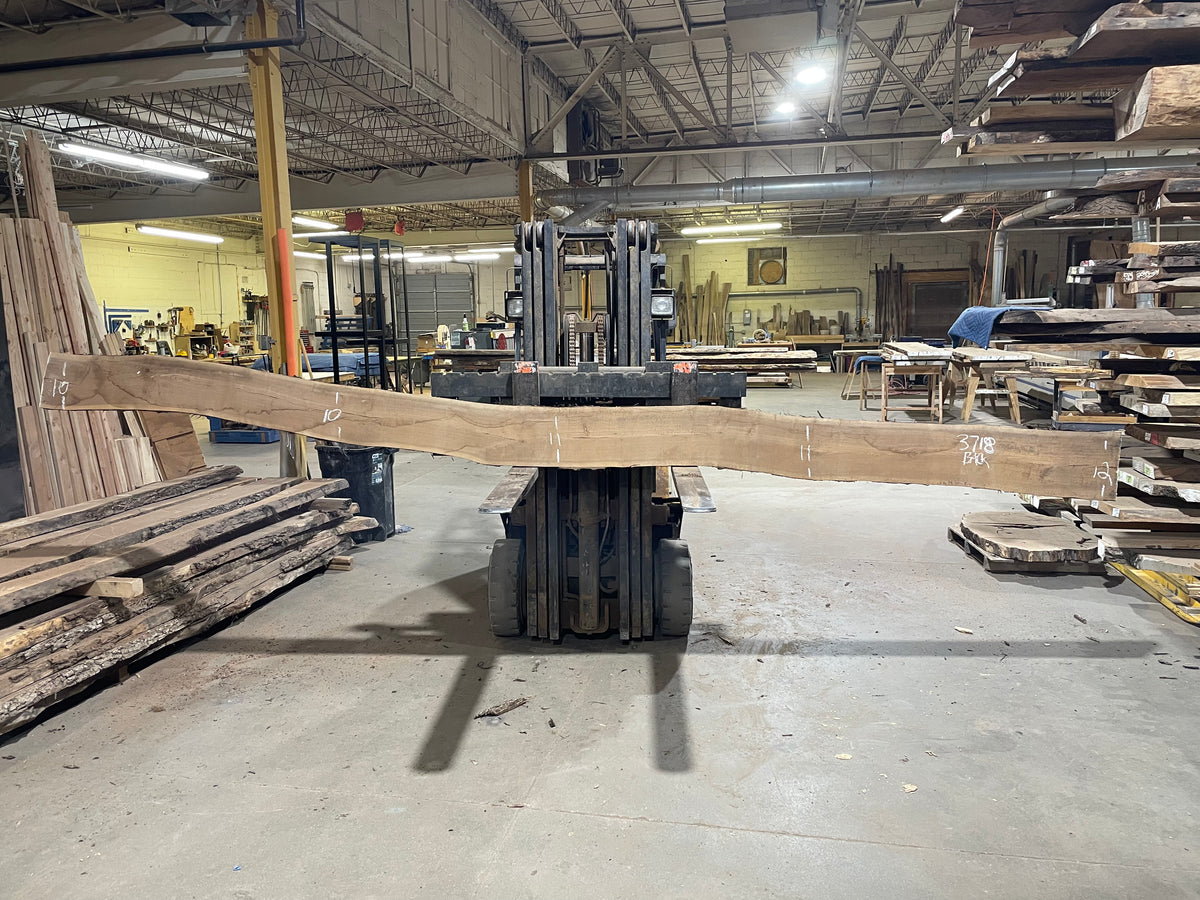 BLACK WALNUT (3718) 196” L x 9"-11” W x 2.5”