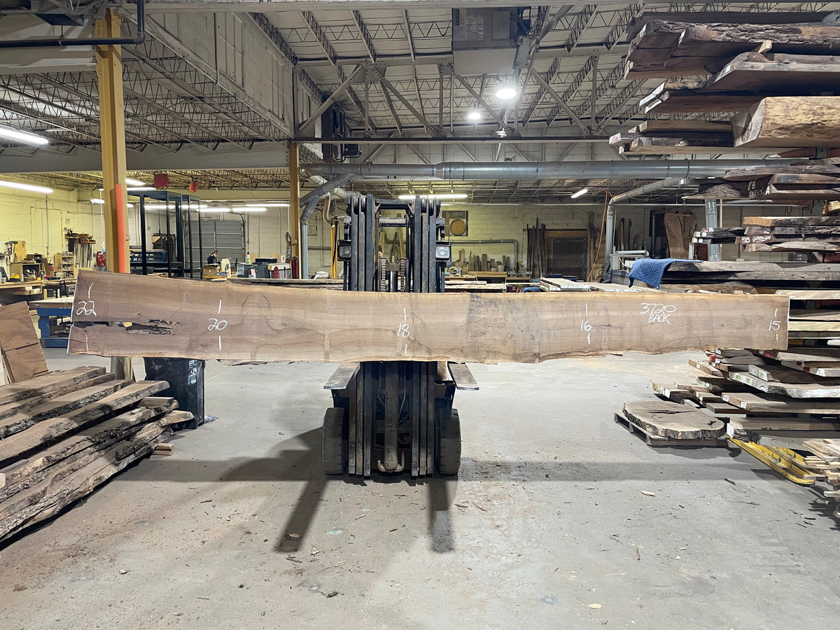 BLACK WALNUT (3720) 197” L x 12&quot;-21” W x 2.5”