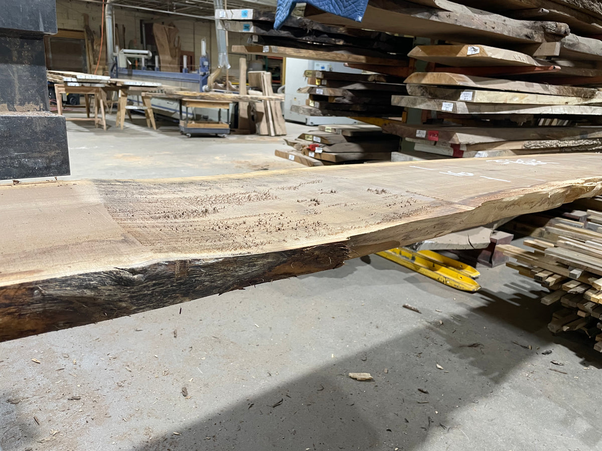 BLACK WALNUT (3720) 197” L x 12&quot;-21” W x 2.5”