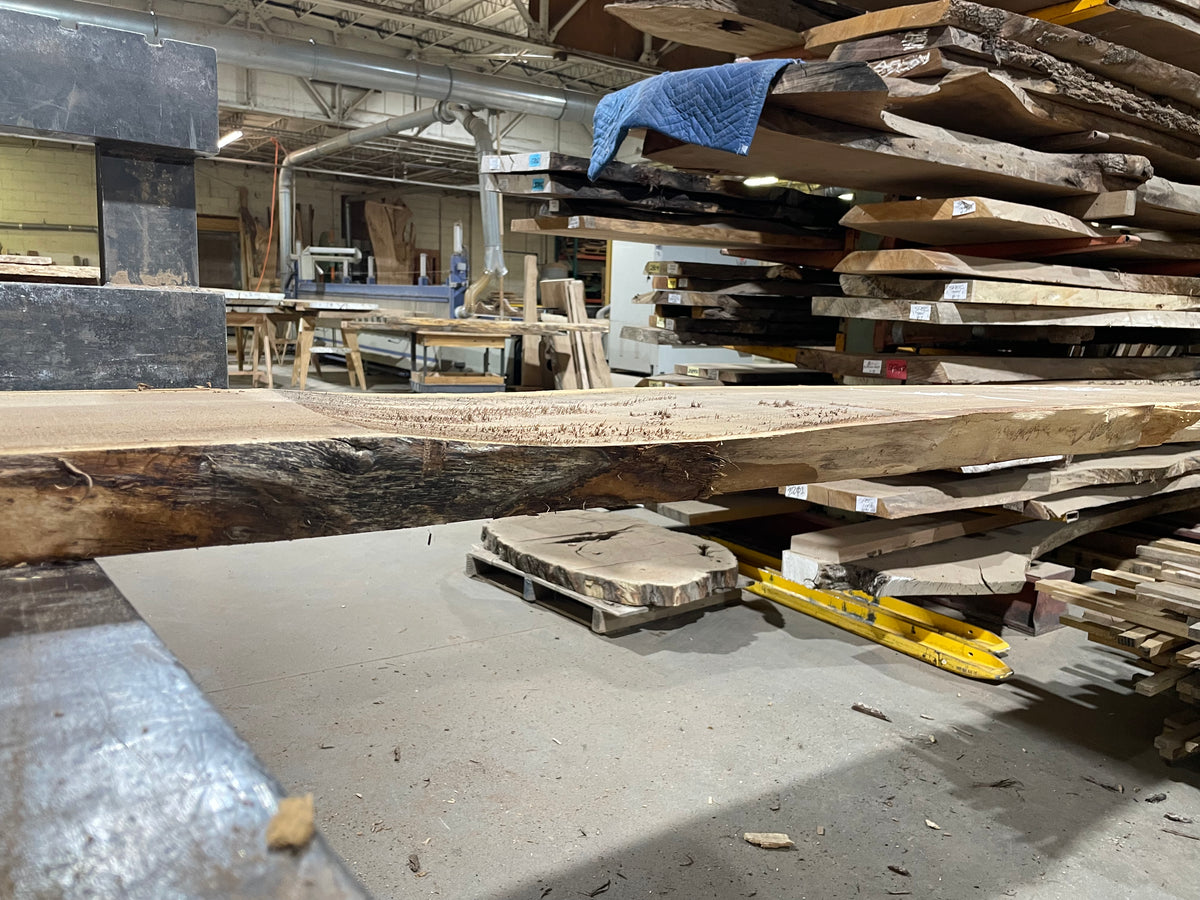 BLACK WALNUT (3720) 197” L x 12&quot;-21” W x 2.5”