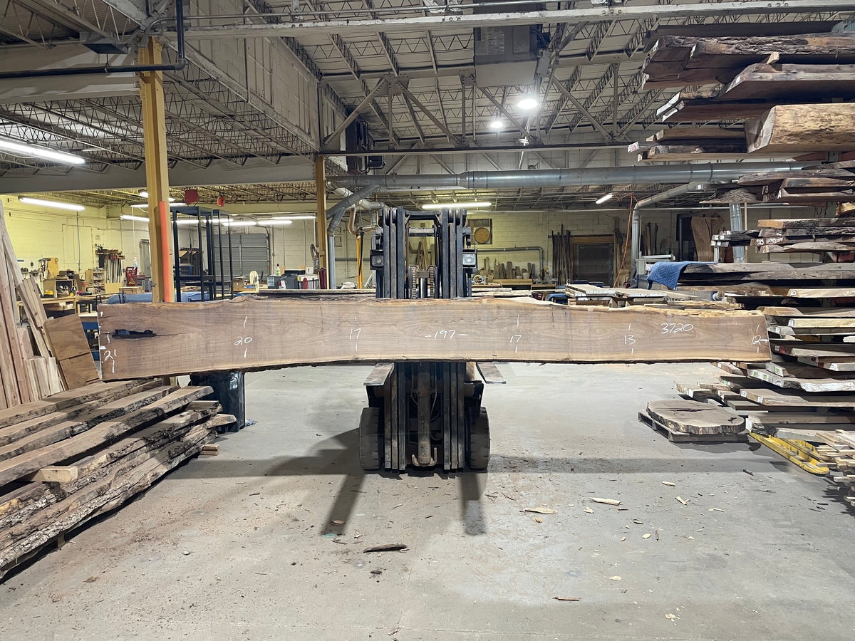 BLACK WALNUT (3720) 197” L x 12&quot;-21” W x 2.5”