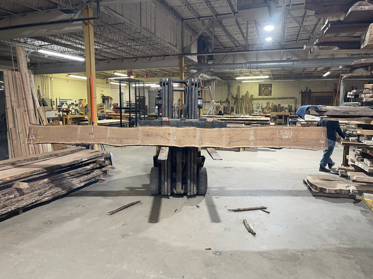 BLACK WALNUT (3721) 196” L x 12&quot;-14” W x 2.25”