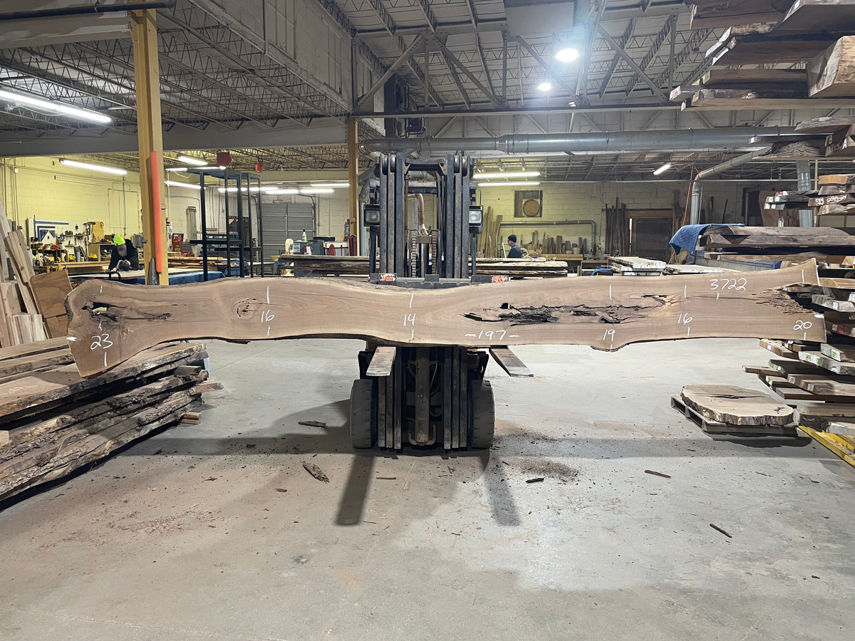 BLACK WALNUT (3722) 197” L x 14&quot;-23” W x 2.5”