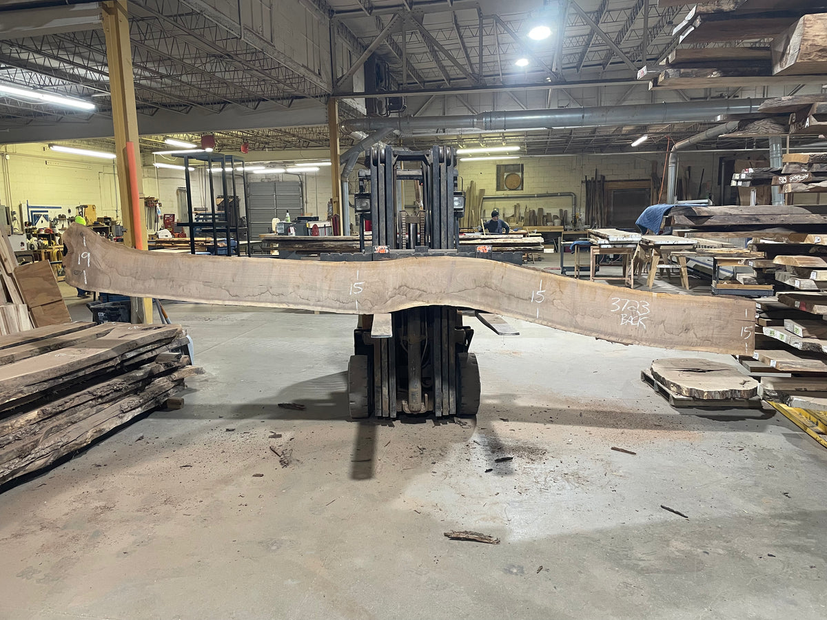 BLACK WALNUT (3723) 194” L x 9&quot;-14” W x 2.5”