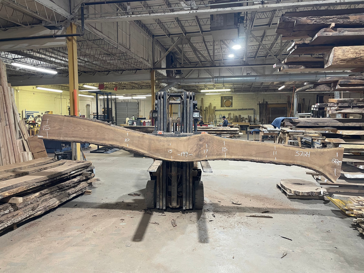 BLACK WALNUT (3724) 199” L x 10&quot;-22” W x 2.5”