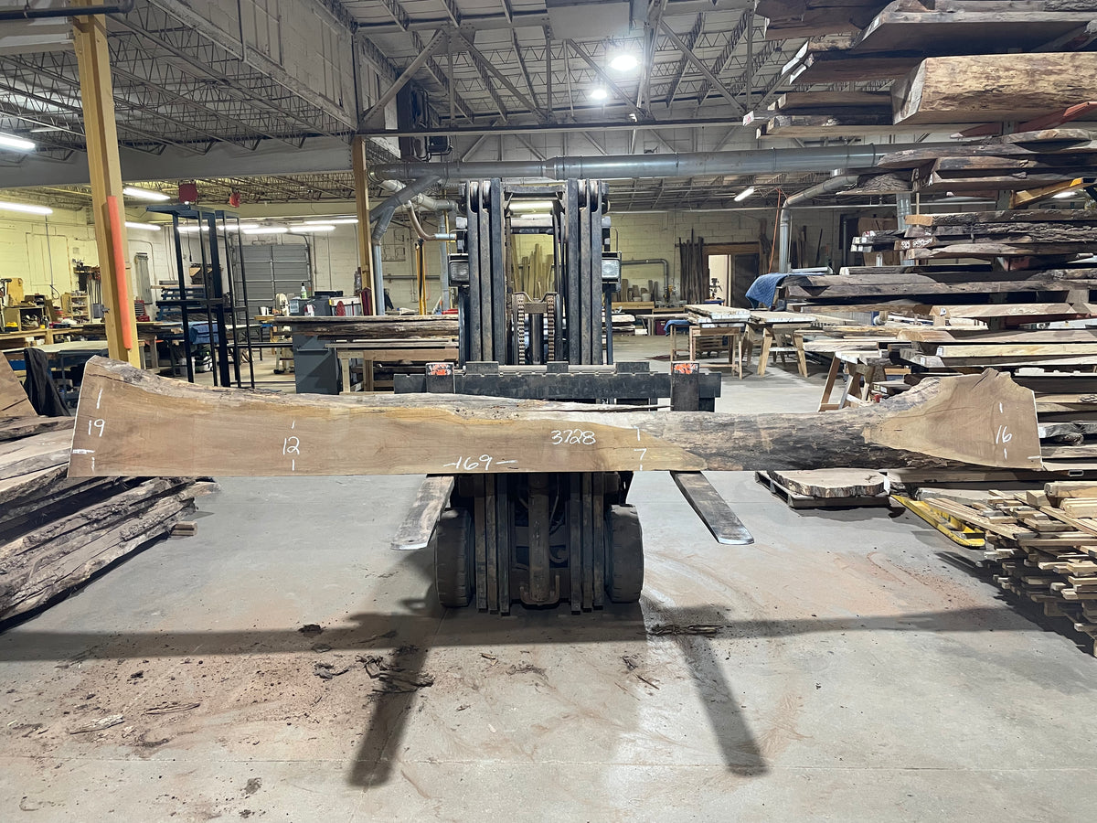 BLACK WALNUT (3728) 169” L x 7&quot;-19” W x 2.5”