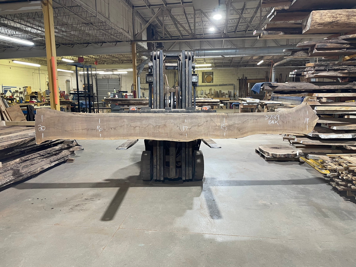 BLACK WALNUT (3729) 167” L x 8"-15” W x 2.5”