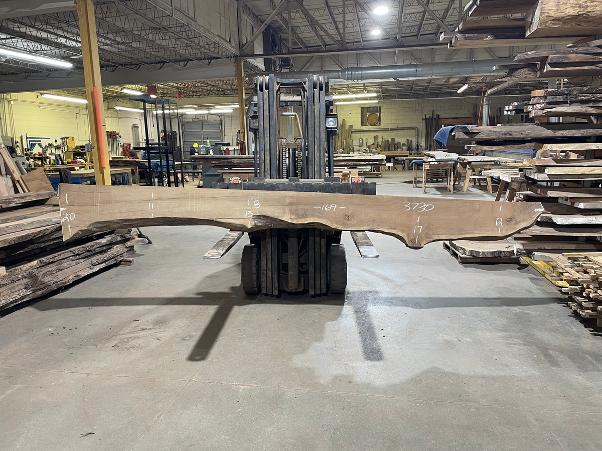 BLACK WALNUT (3730) 169” L x 8"-20” W x 2.5”