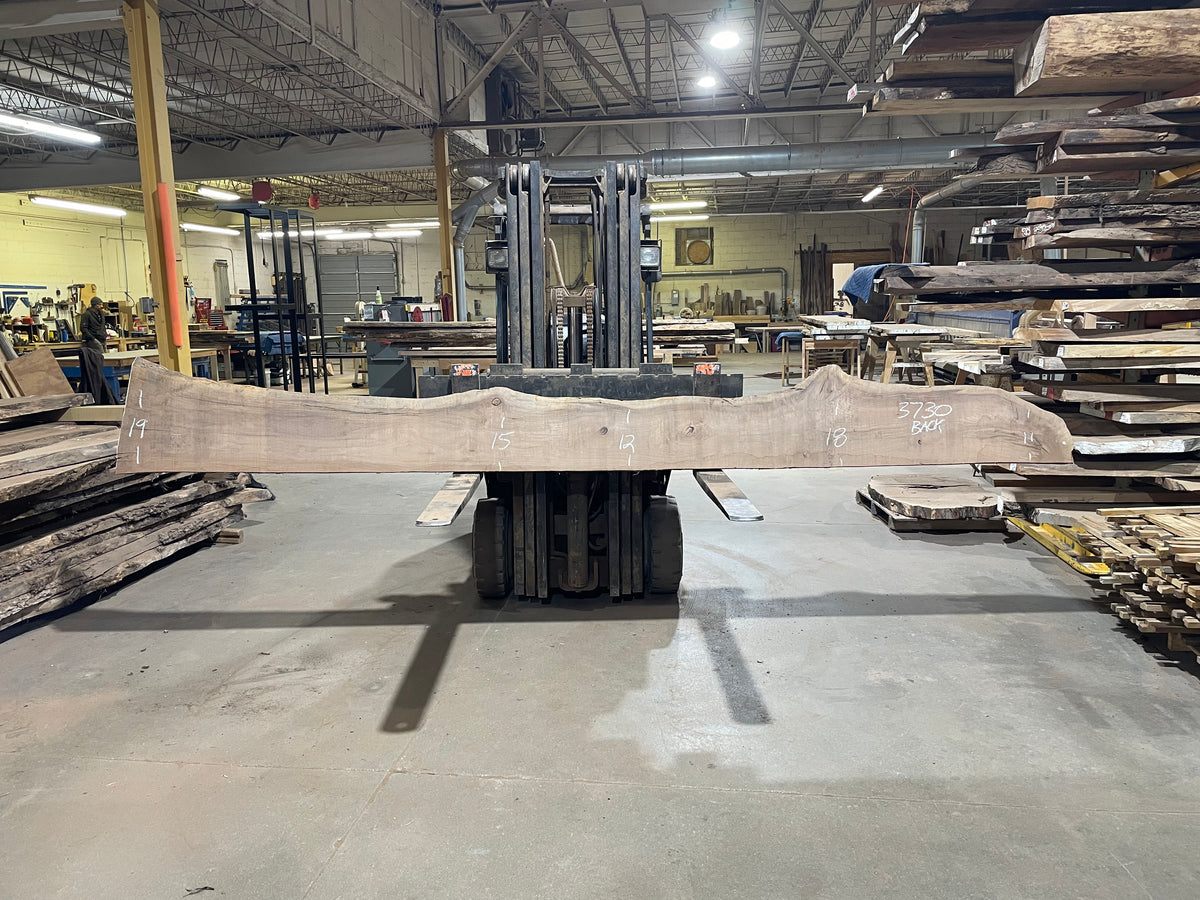 BLACK WALNUT (3730) 169” L x 8"-20” W x 2.5”