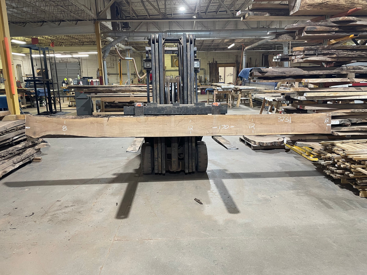 BLACK WALNUT (3731) 170” L x 8"-12” W x 2.5”