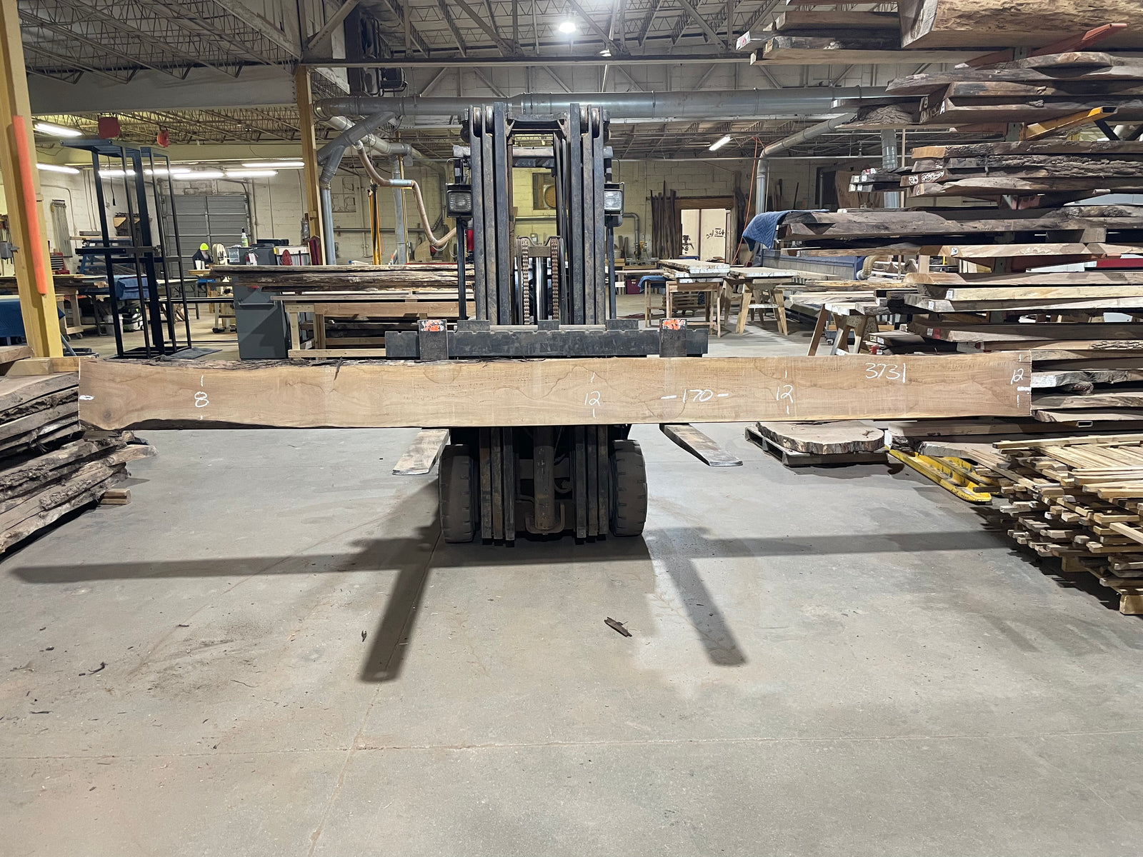 BLACK WALNUT (3731) 170” L x 8"-12” W x 2.5”