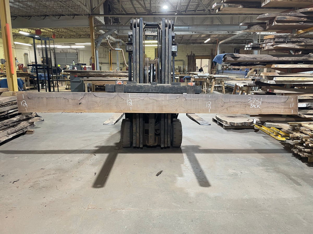 BLACK WALNUT (3731) 170” L x 8"-12” W x 2.5”