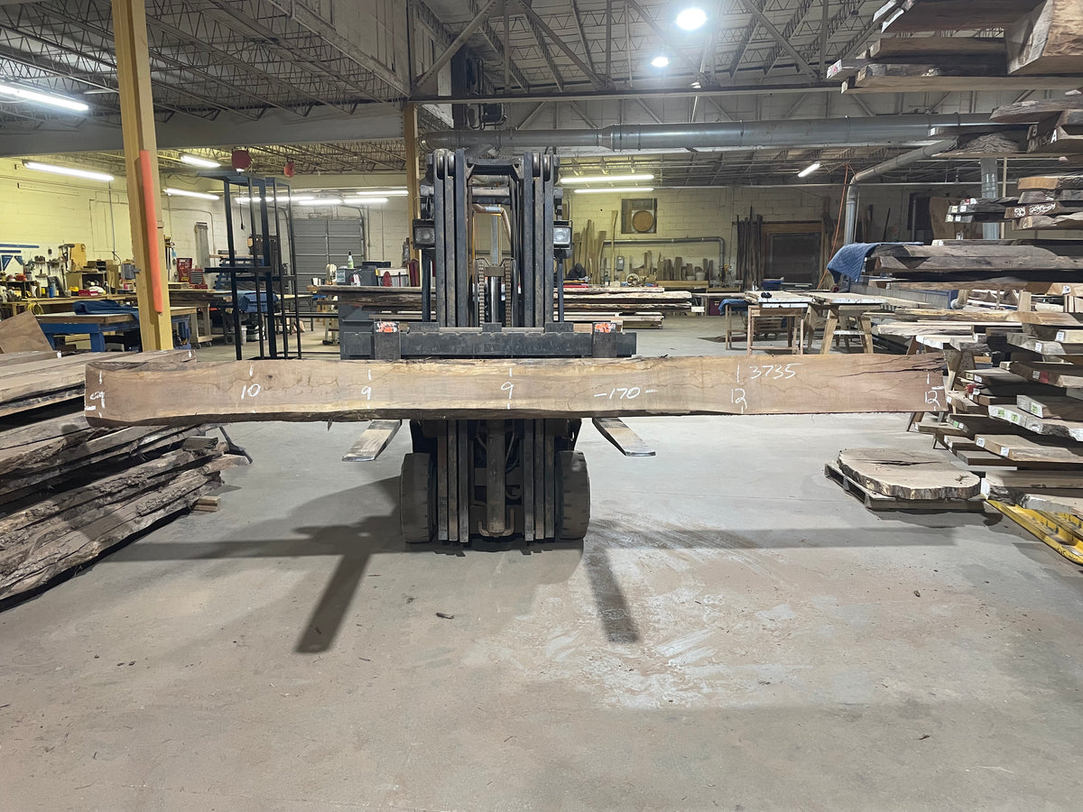 BLACK WALNUT (3735) 170” L x 9&quot;-12” W x 2.5”