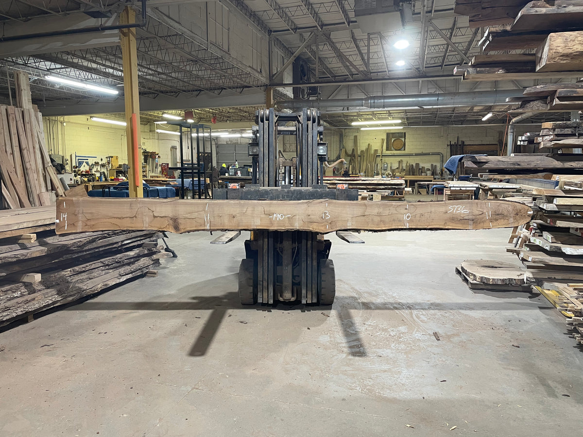BLACK WALNUT (3736) 190” L x 10"-14” W x 2.5”