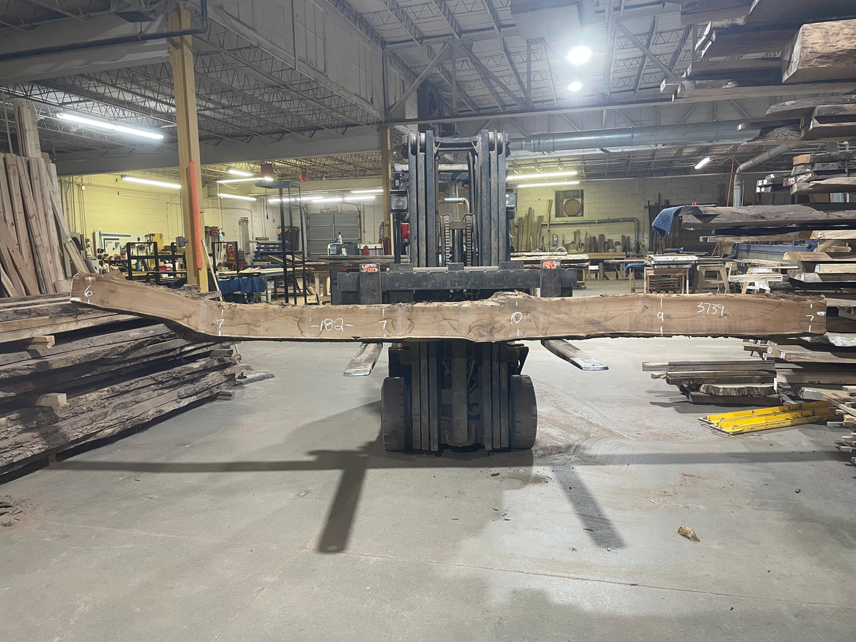 BLACK WALNUT (3739) 182” L x 6&quot;-9” W x 2.5”