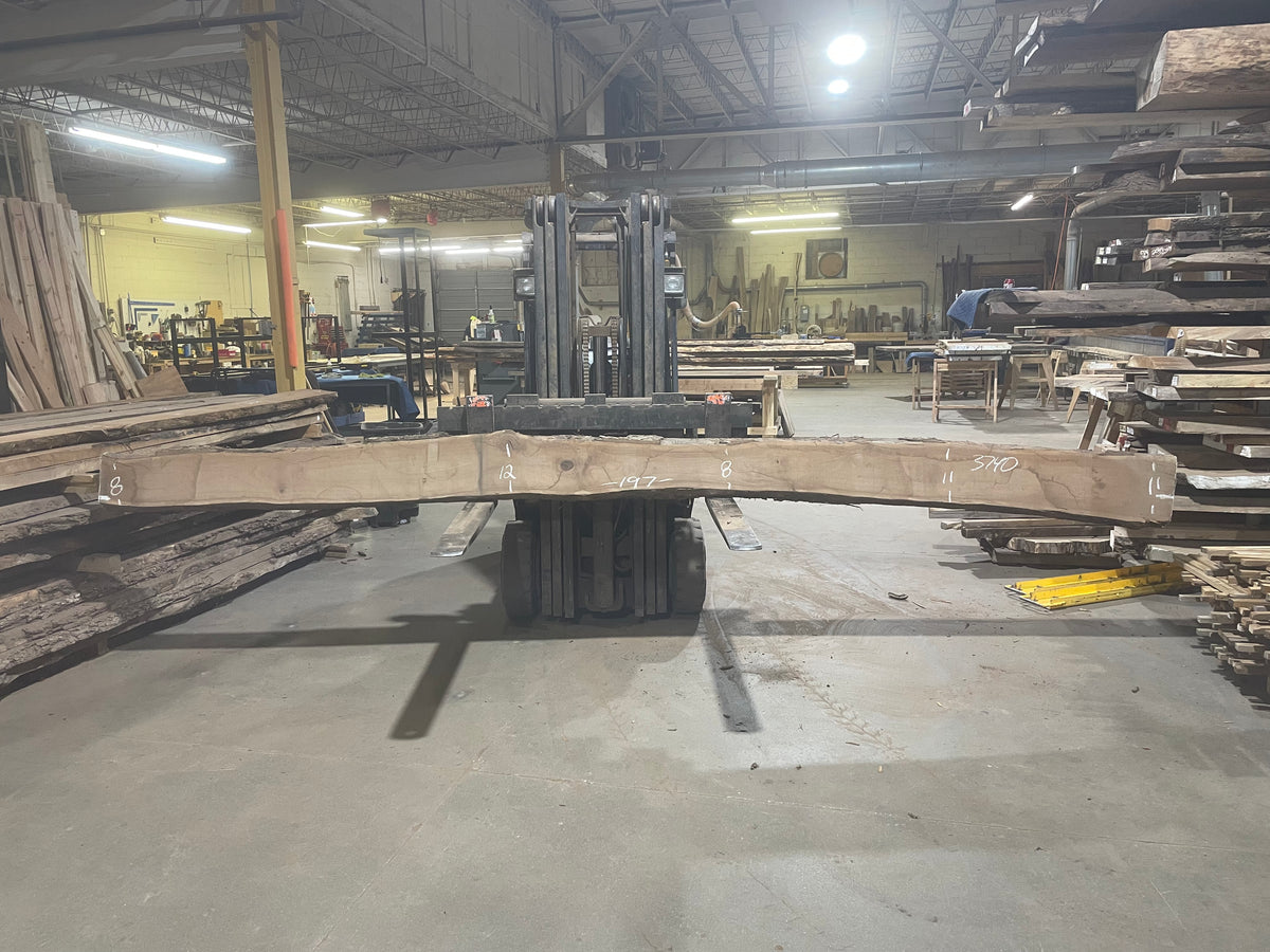 BLACK WALNUT (3740) 197” L x 8"-12” W x 2.5”