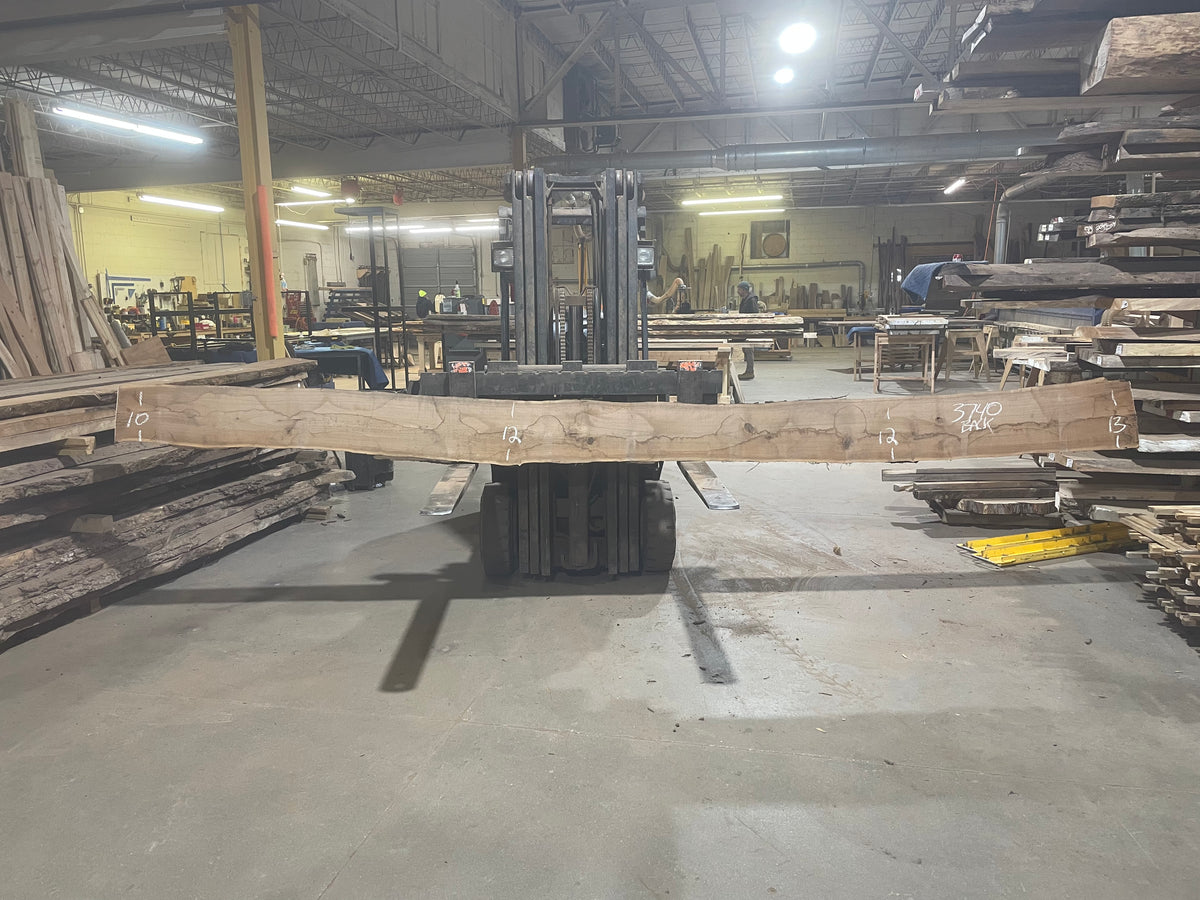 BLACK WALNUT (3740) 197” L x 8"-12” W x 2.5”