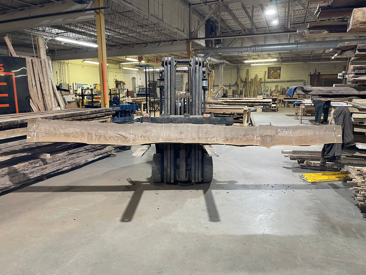 BLACK WALNUT (3744) 193” L x 11"-14” W x 2.5”