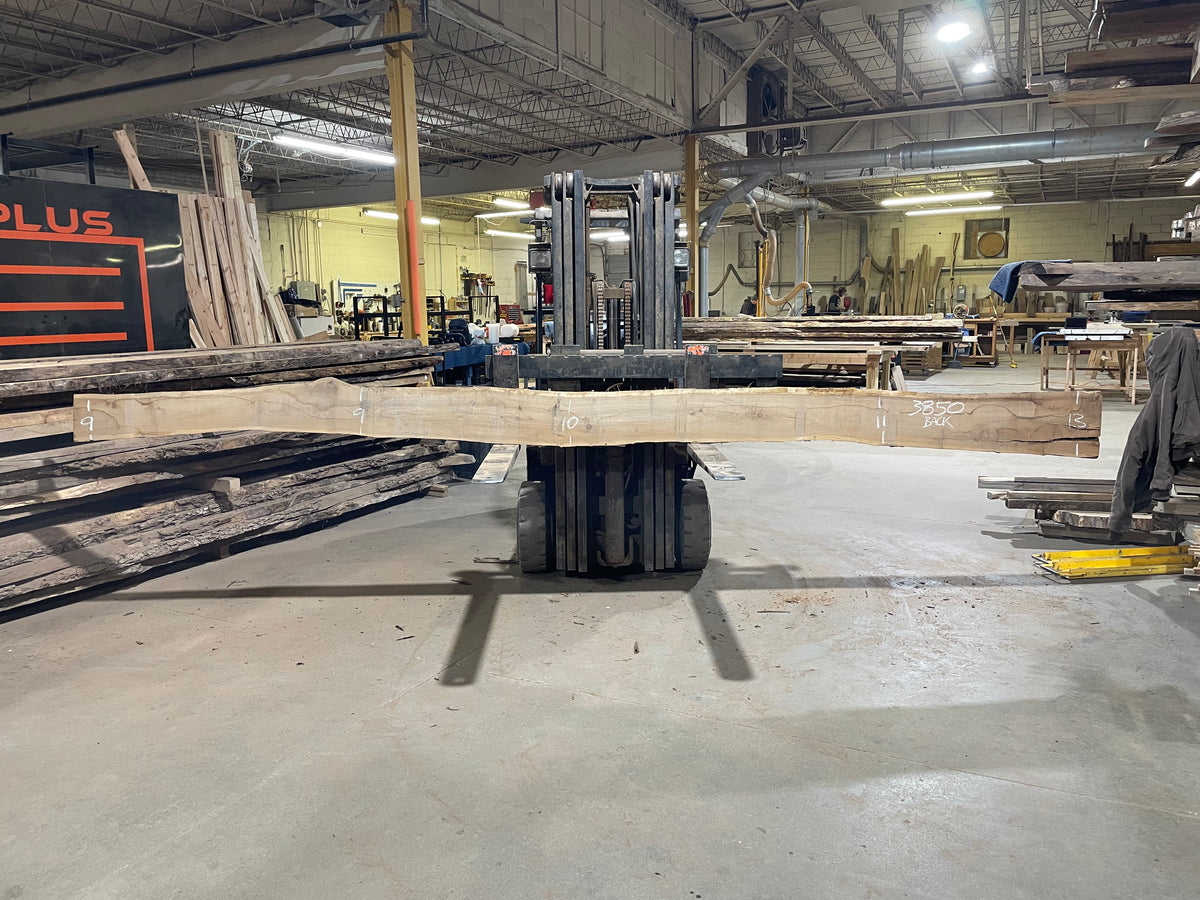 BLACK WALNUT (3850) 200” L x 6"-10” W x 2.5”