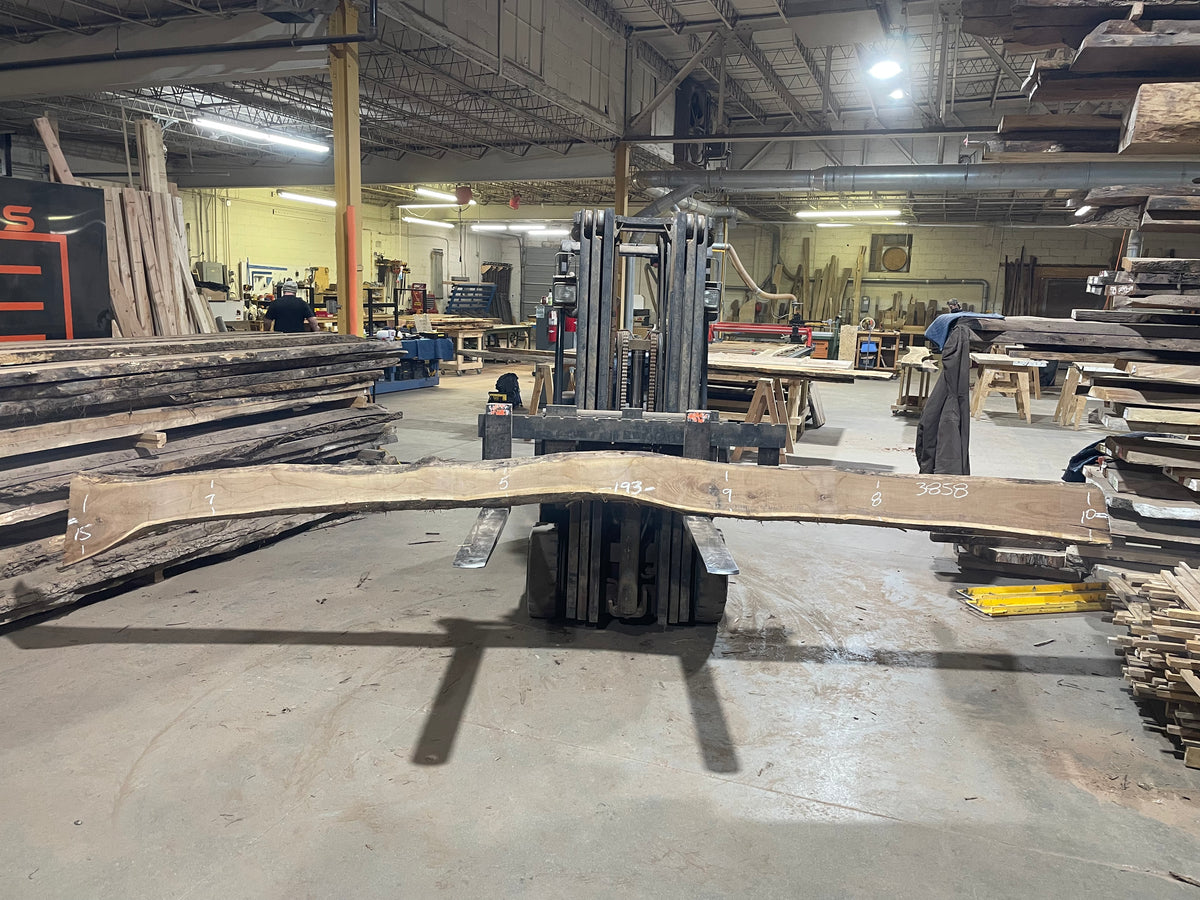 BLACK WALNUT (3858) 193” L x 5&quot;-15” W x 2.5”