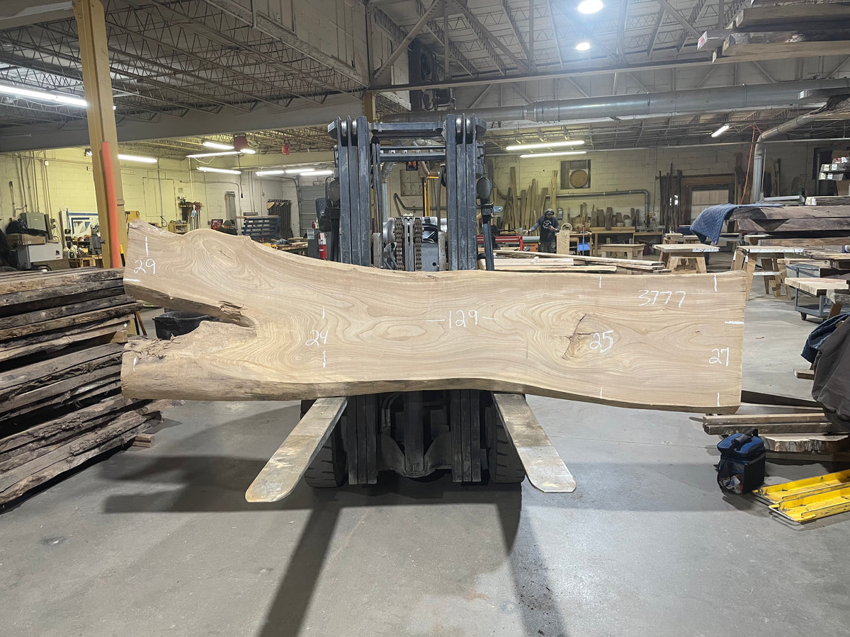 Siberian Elm (3777)  129” L x 24-29” W x 3” T