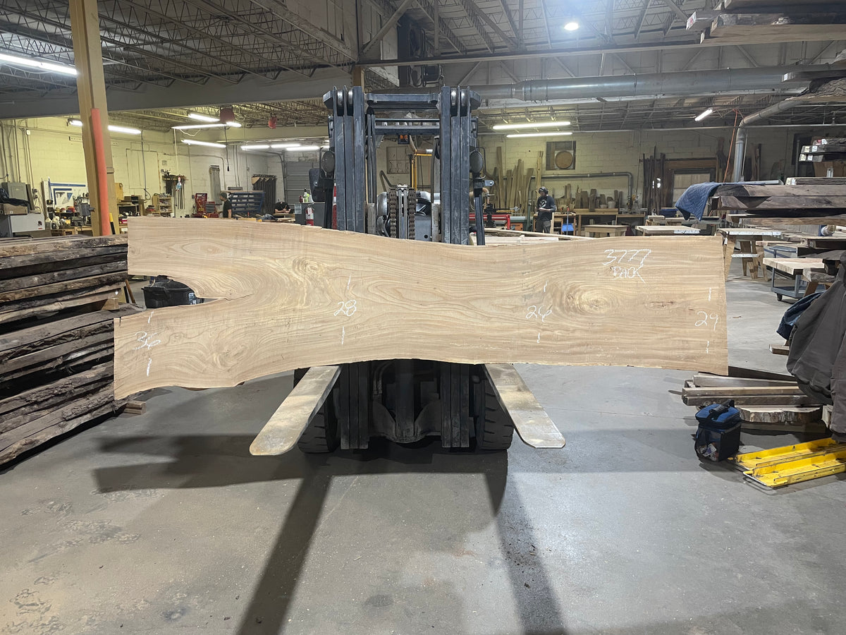 Siberian Elm (3777)  129” L x 24-29” W x 3” T