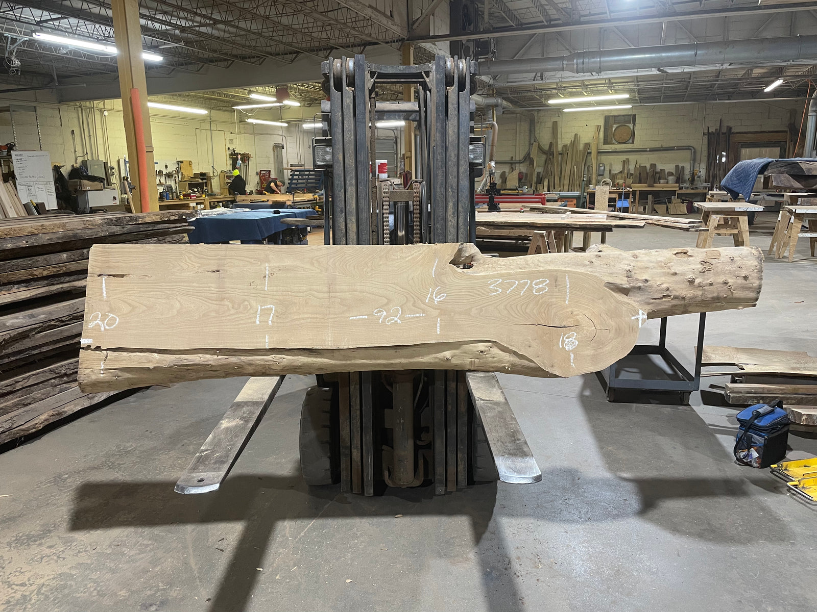 Siberian Elm (3778)  92” L x 16-20” W x 3” T