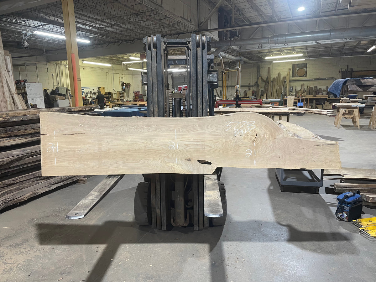 Siberian Elm (3778)  92” L x 16-20” W x 3” T