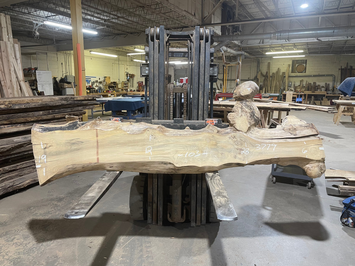 American Elm (3779)  103” L x 6-28” W x 3” T