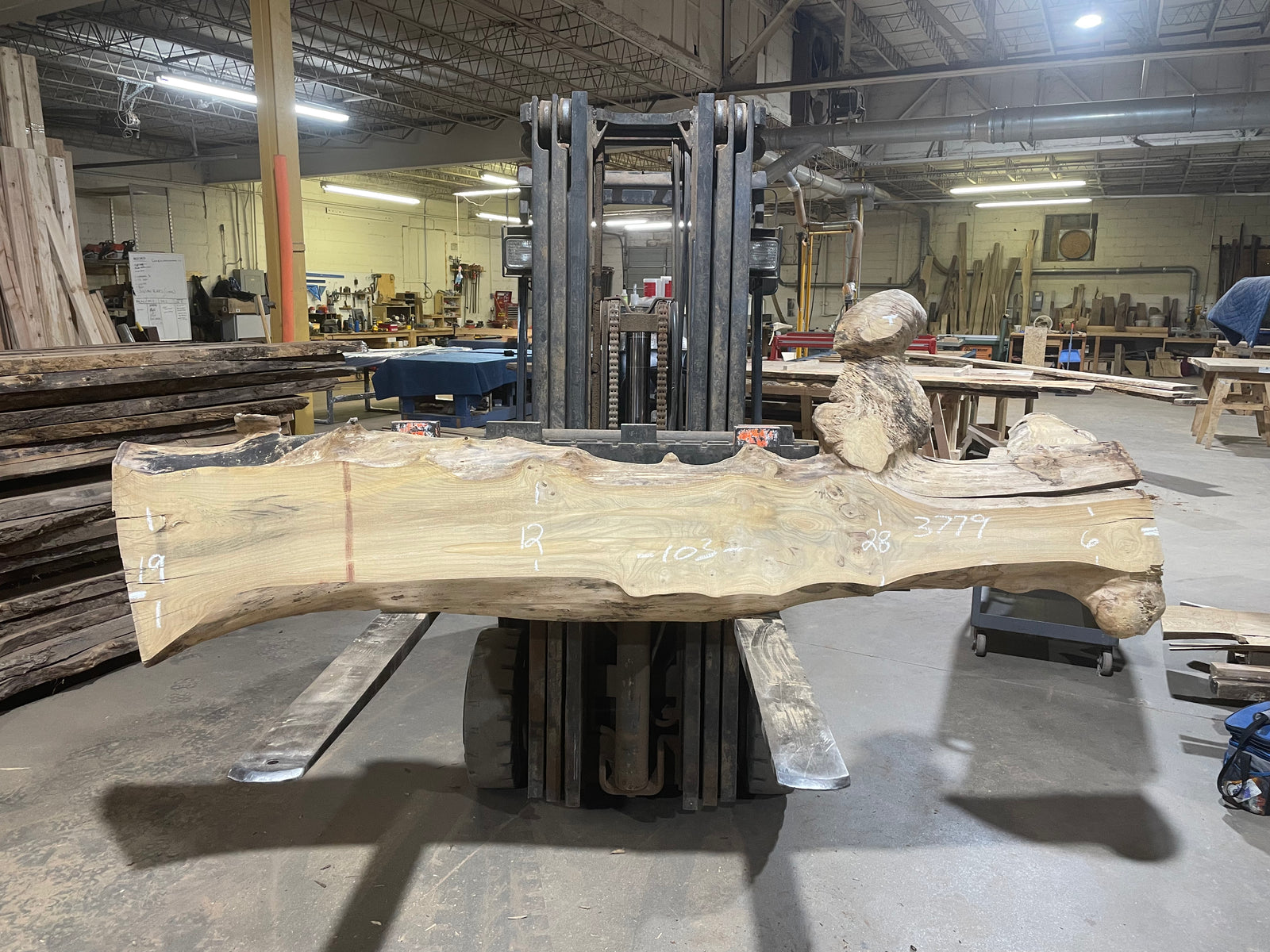 American Elm (3779)  103” L x 6-28” W x 3” T