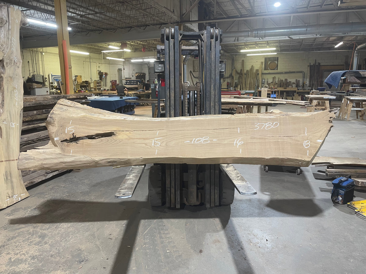 Siberian Elm (3780)  108” L x 15-18” W x 3” T
