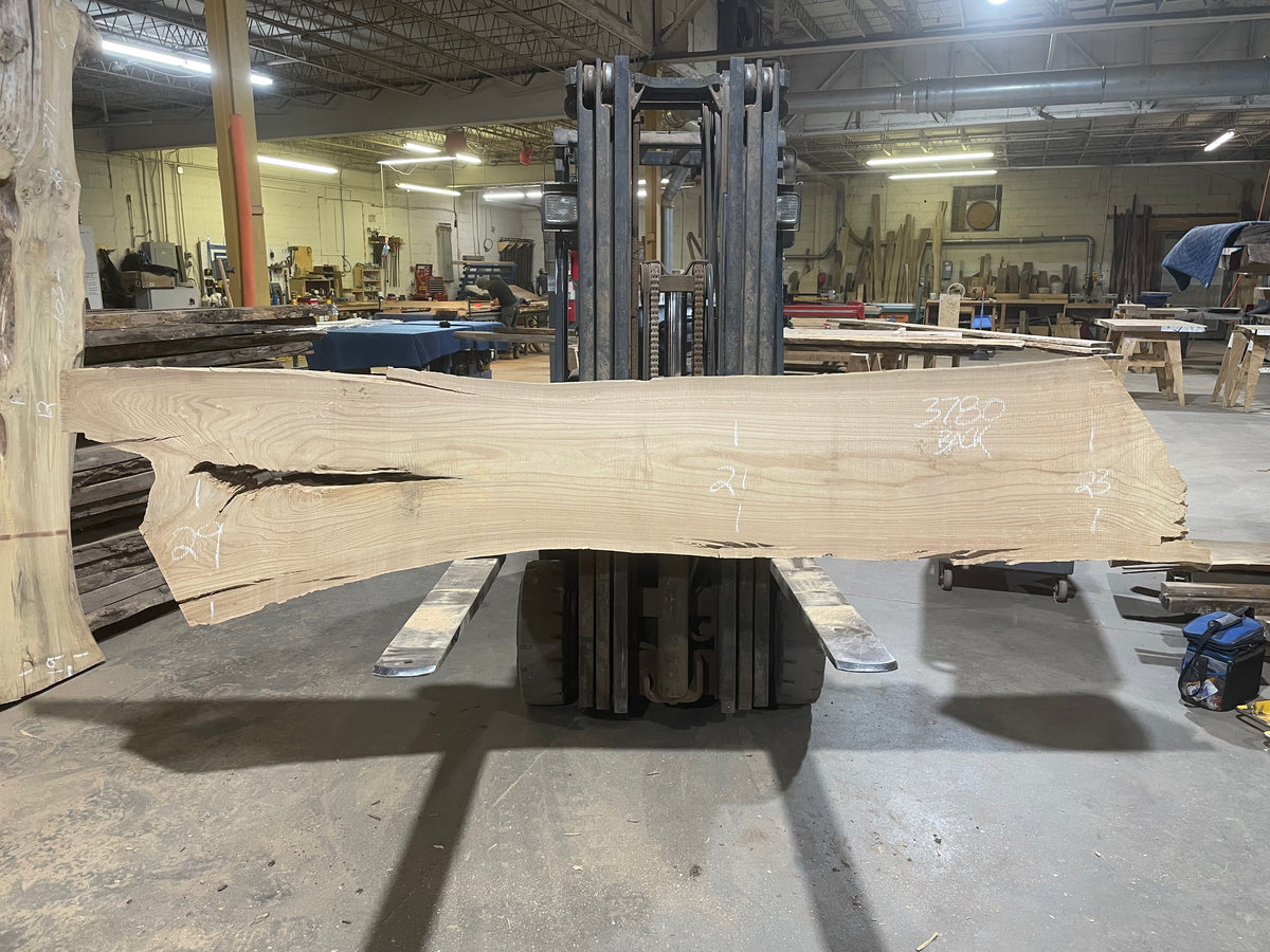 Siberian Elm (3780)  108” L x 15-18” W x 3” T