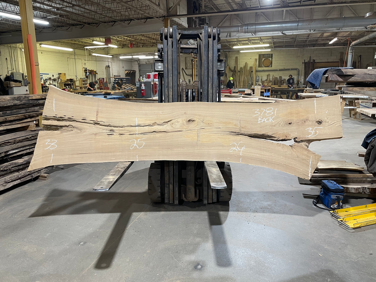 Siberian Elm (3781)  127” L x 23-33” W x 3” T