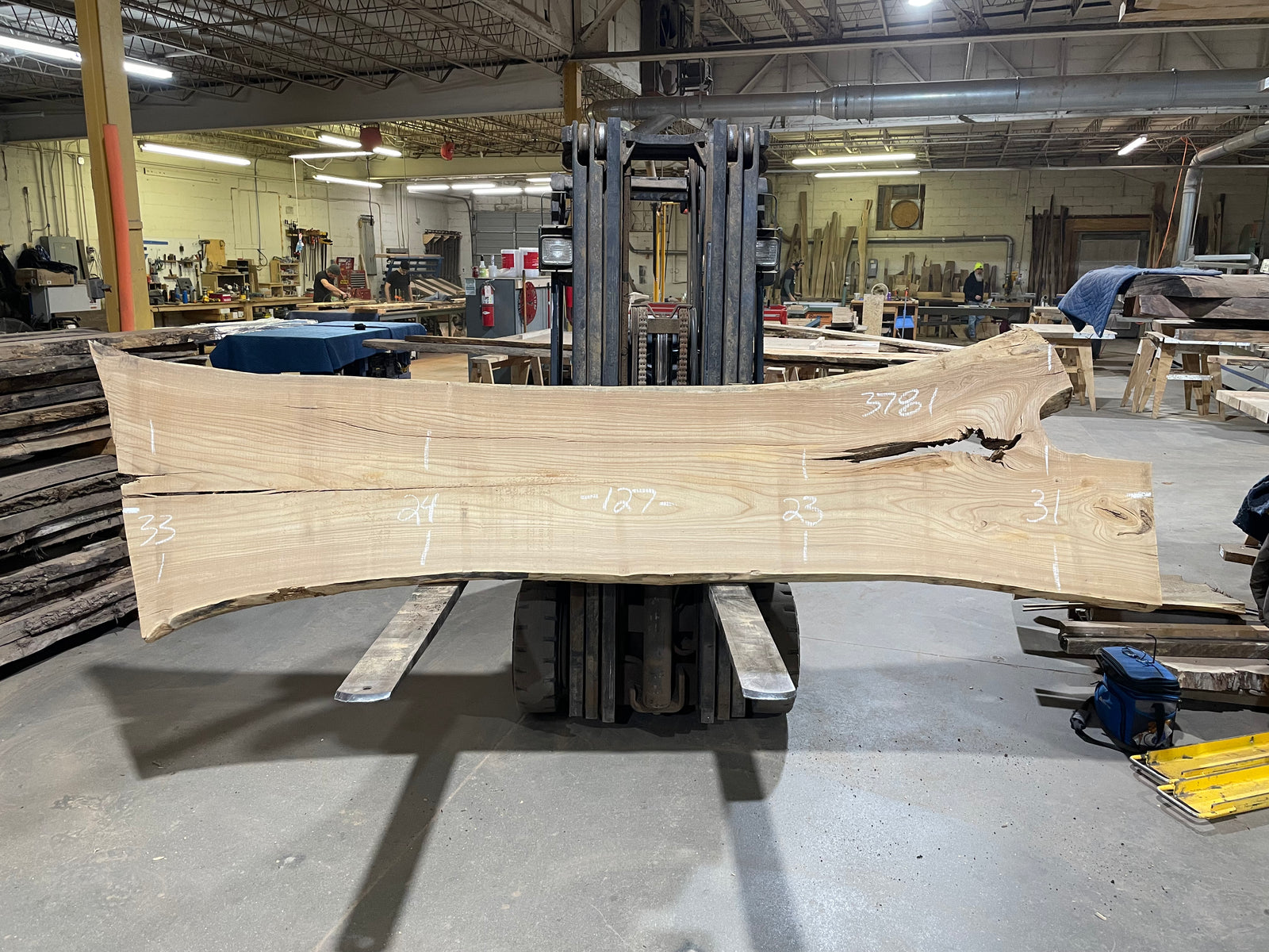 Siberian Elm (3781)  127” L x 23-33” W x 3” T