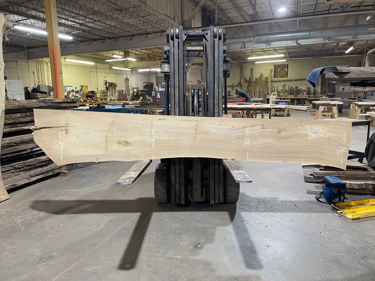 Siberian Elm (3782)  133” L x 15-23” W x 2.75” T