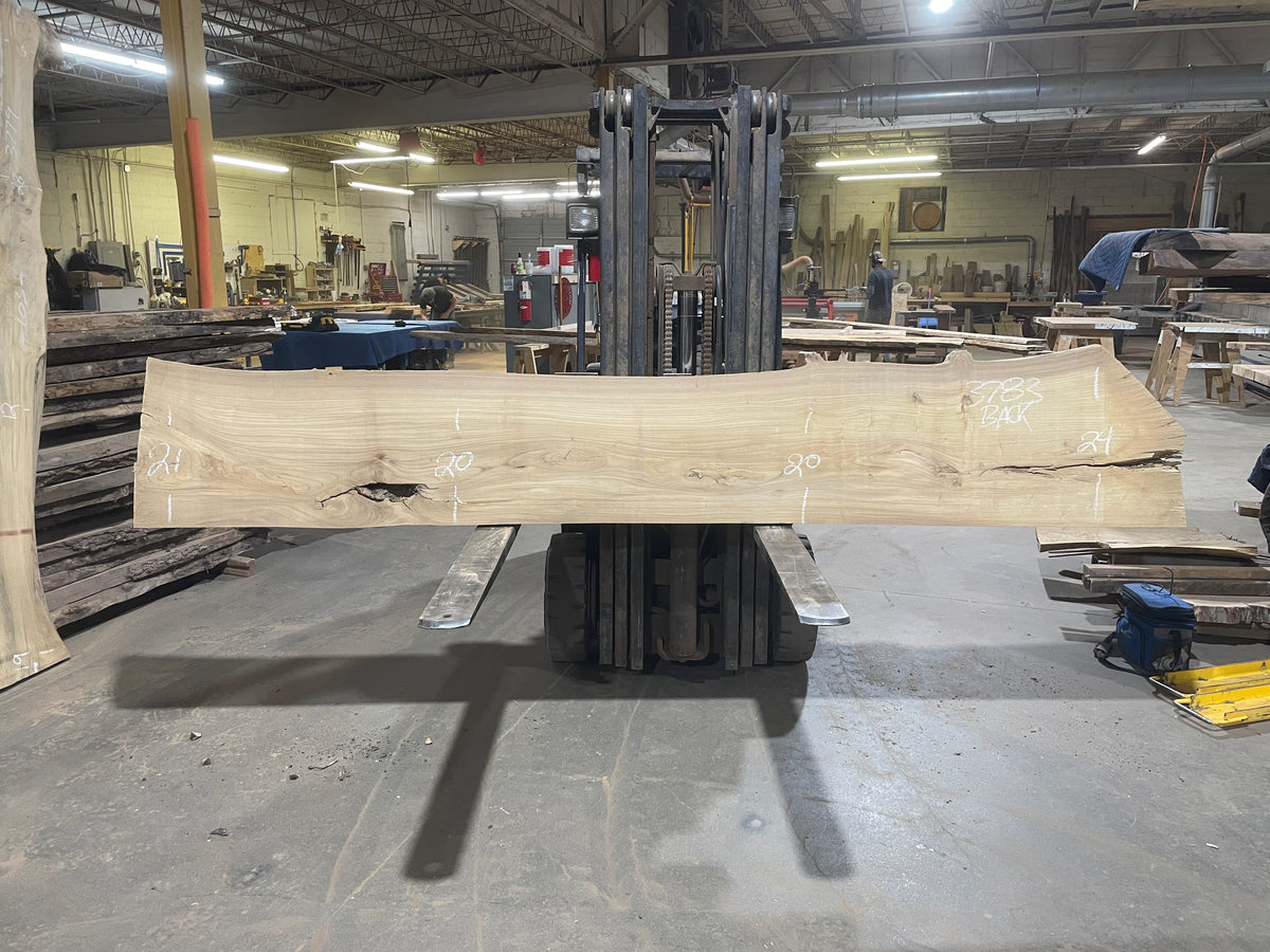 Siberian Elm (3783) 134” L x 18-24” W x 2.75” T
