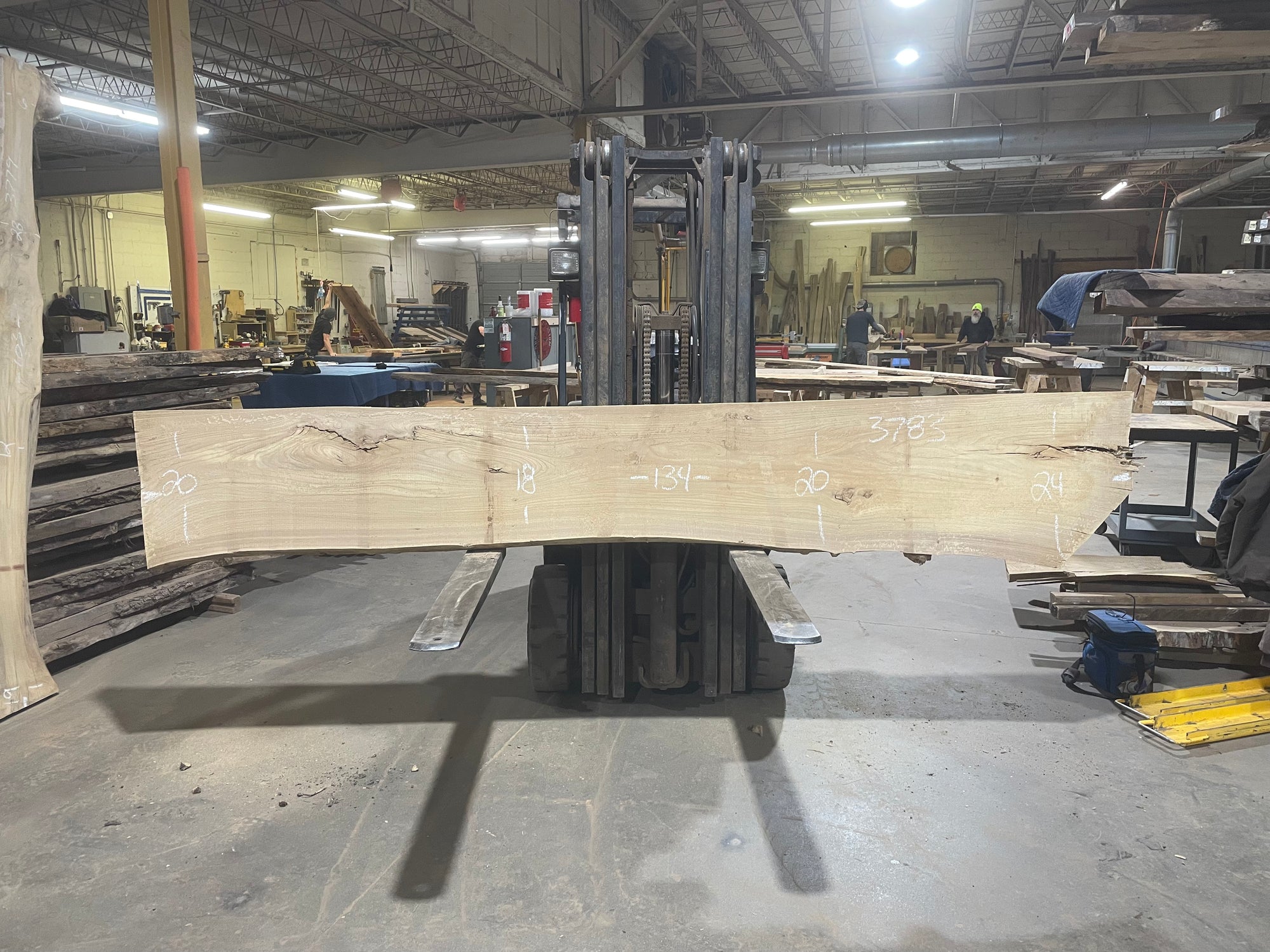 Siberian Elm (3783) 134” L x 18-24” W x 2.75” T