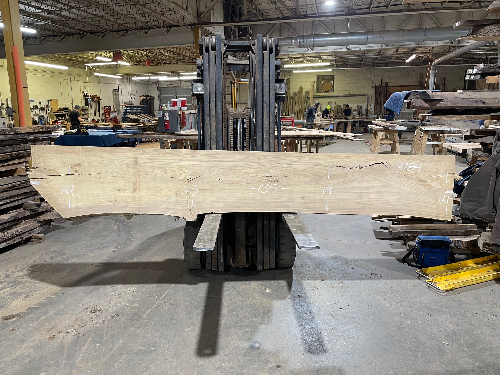 Siberian Elm (3784) 135” L x 19-23” W x 3” T