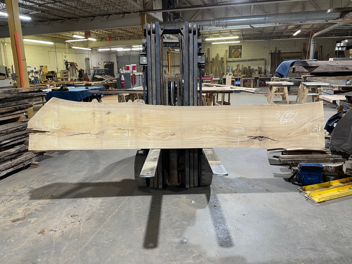 Siberian Elm (3784) 135” L x 19-23” W x 3” T