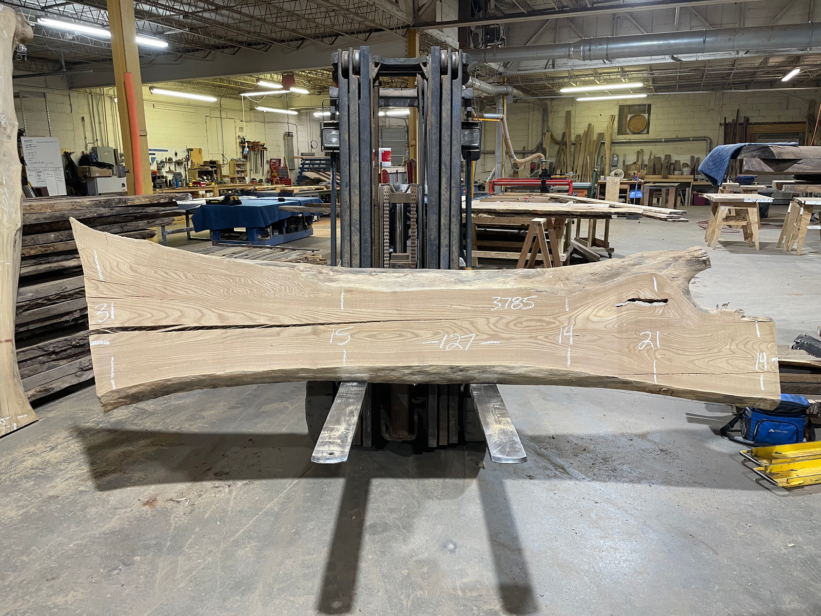 Siberian Elm (3785) 127” L x 14-31” W x 3” T