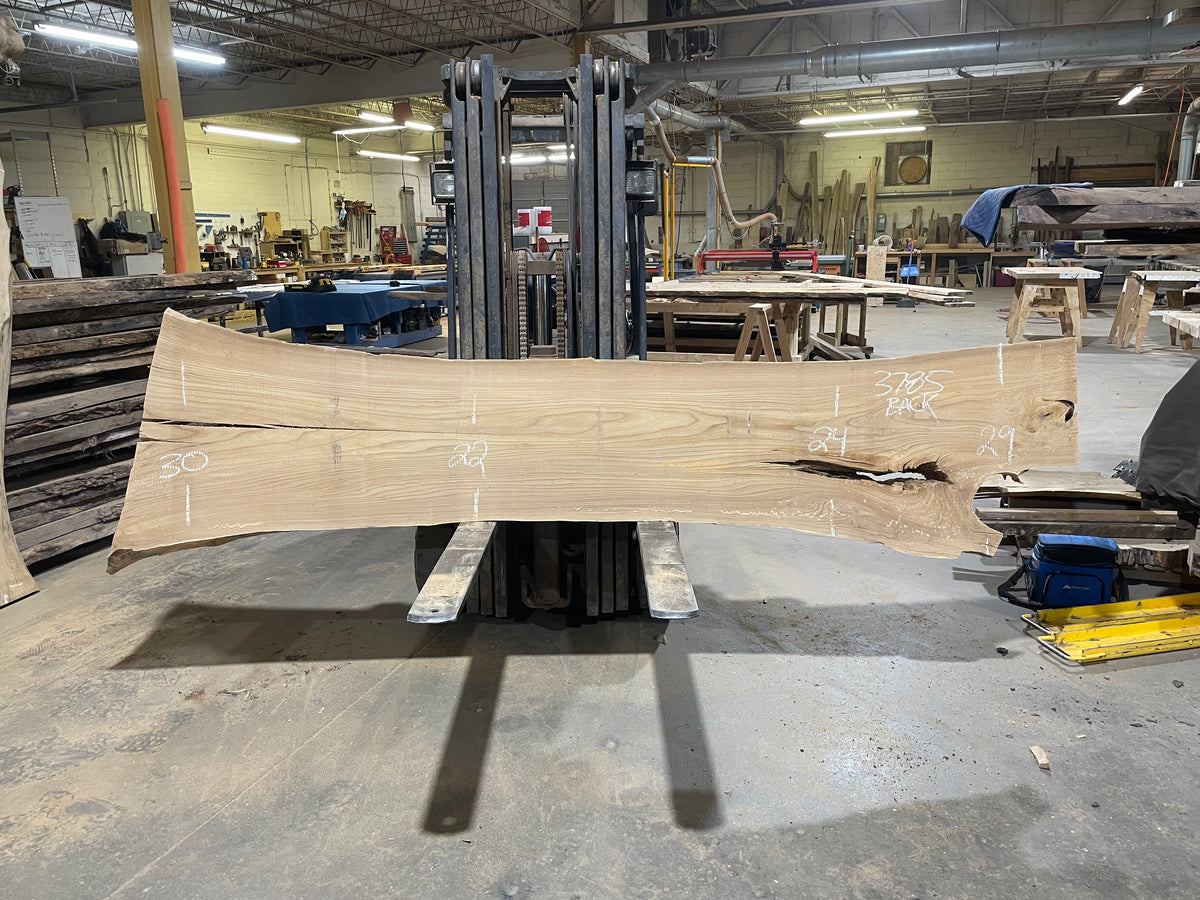 Siberian Elm (3785) 127” L x 14-31” W x 3” T