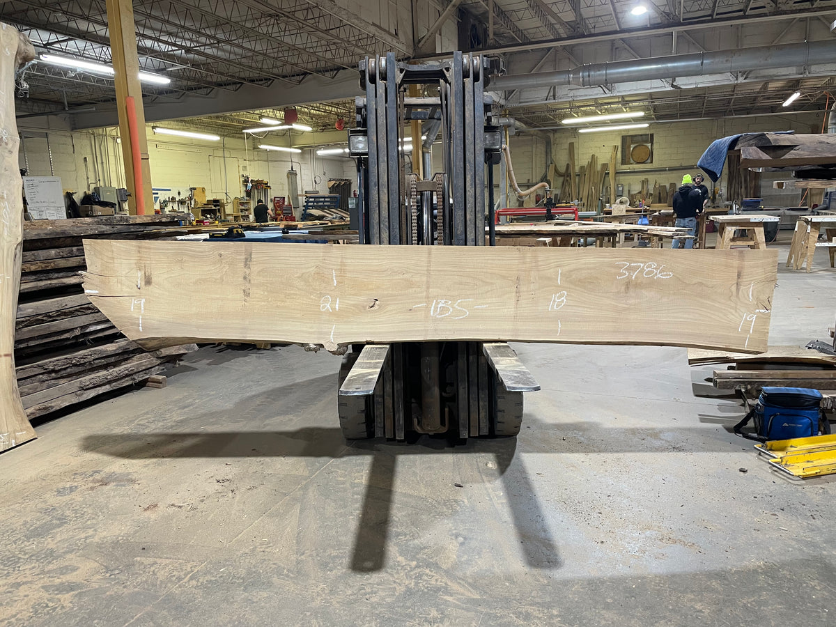 Siberian Elm (3786) 135” L x 18-21” W x 3” T