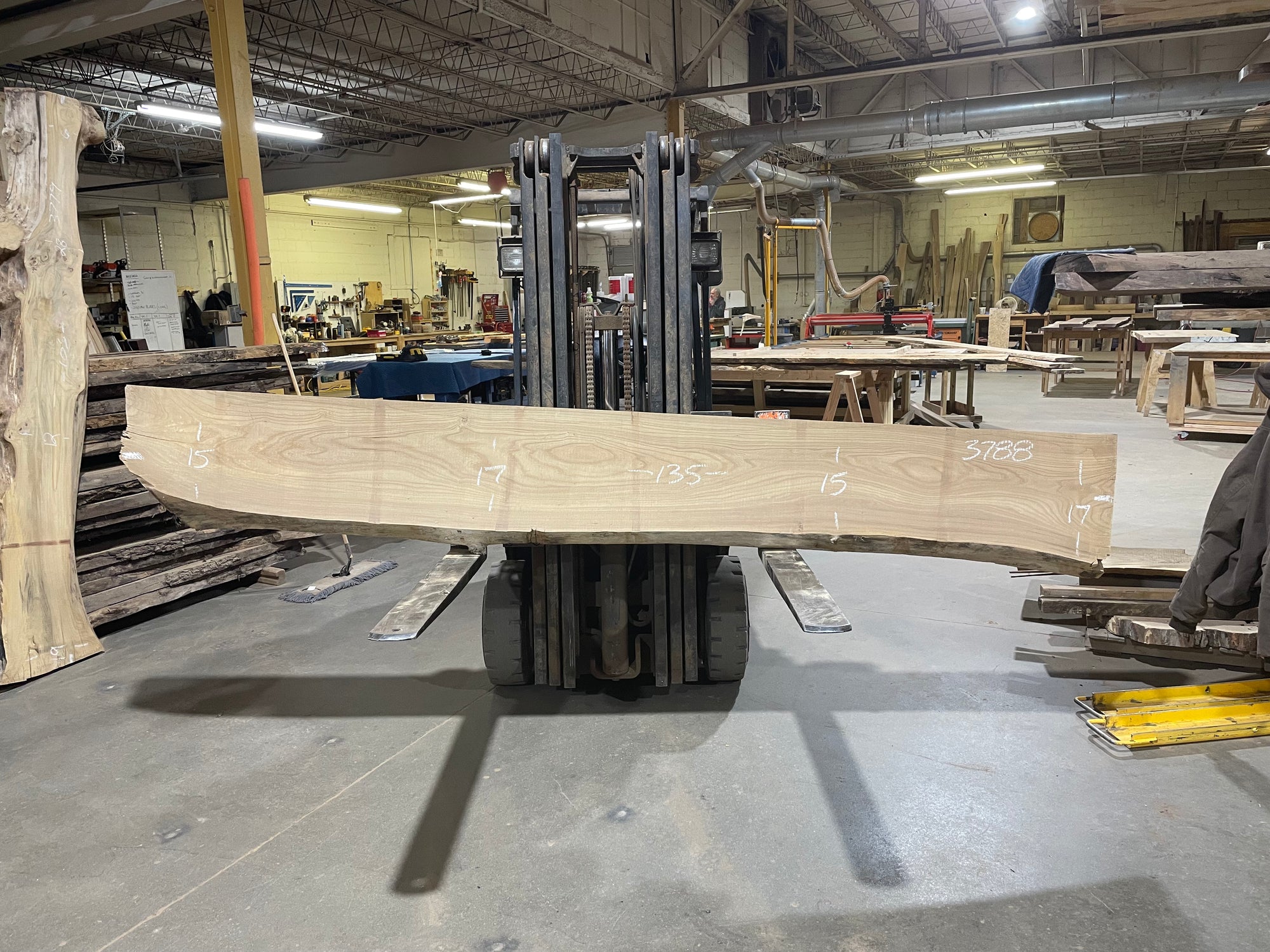 Siberian Elm (3788) 135” L x 15-17” W x 3” T