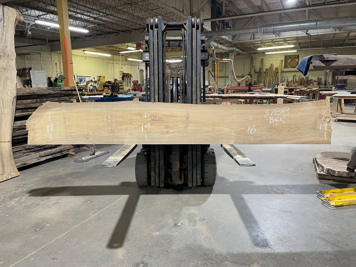 Siberian Elm (3788) 135” L x 15-17” W x 3” T