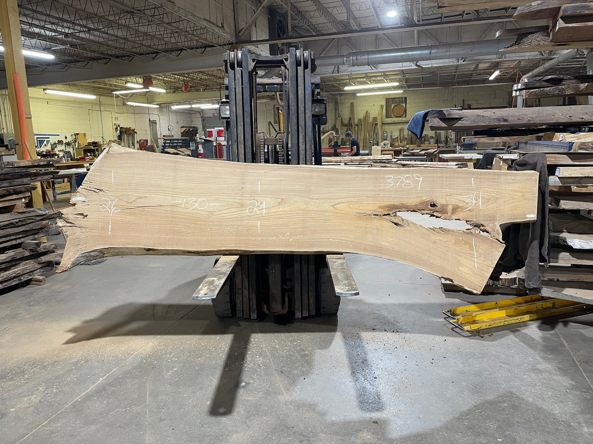 Siberian Elm (3789) 130” L x 24-34” W x 3” T