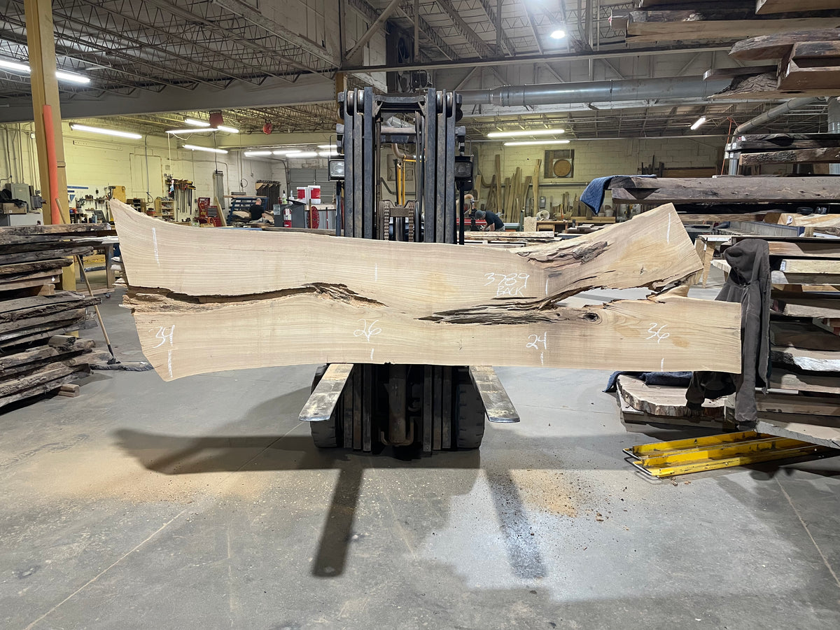 Siberian Elm (3789) 130” L x 24-34” W x 3” T