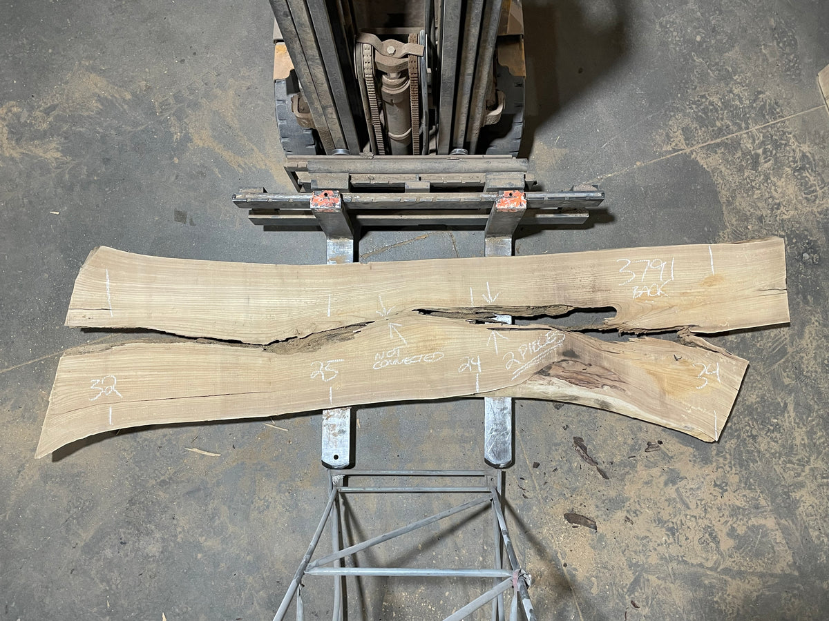 Siberian Elm (3791) 125” L x 24-35” W x 3” T