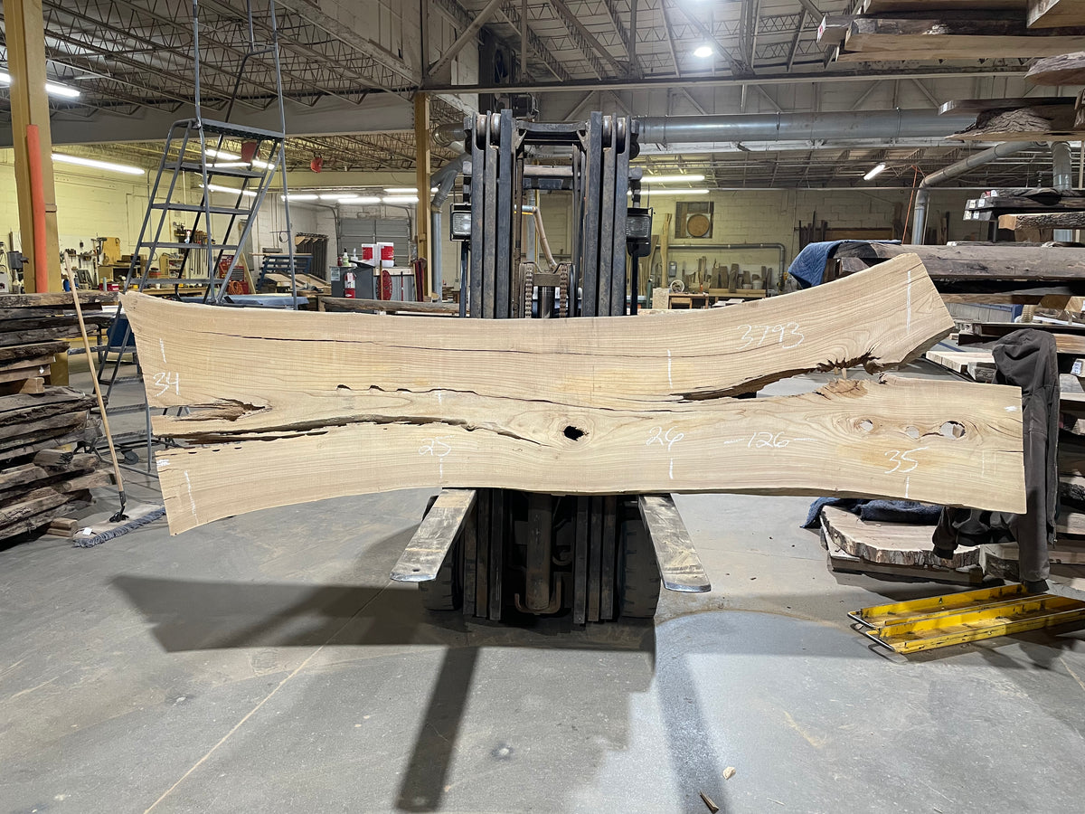 Siberian Elm (3793) 126” L x 25-35” W x 3” T